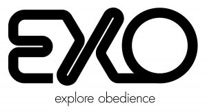 EXO logo-02